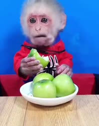 1671891579243.mp4