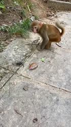 1671891579243.mp4