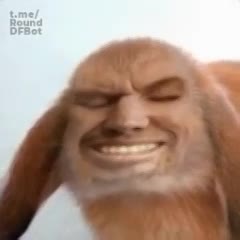 kroll.mp4