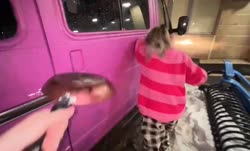 1650416040736.mp4