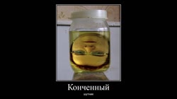 кнчн.mp4