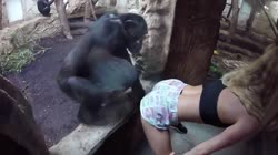 1674146607773215.webm