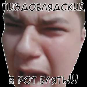 sticker.webp
