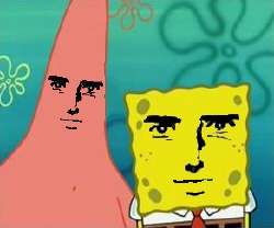 rcsponge.jpg