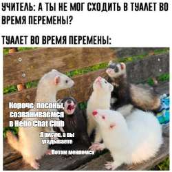 BVErF7nNkJM.jpg