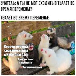 16896004651270.jpg
