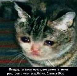 15077229667920.jpg