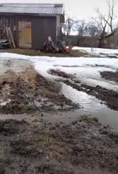 16779074952183.mp4