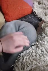 16897535198290.mp4