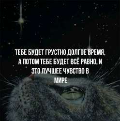 1690660097475.jpeg