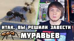 maxresdefault[1].jpg