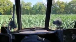 IMG7294.MOV