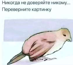 1691351412788.jpeg
