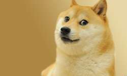 doge-meme-photo.jpeg