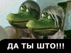0066baef898a0d25ca2eb644c24eaee4b0e05ccb.jpg