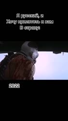 16915931696760.mp4