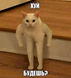 5ee08e37b1c7e3354c0afc11.jpg