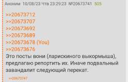 Screenshot2023-08-10-23-31-24-9640deb401b9ffe8e1df2f1cc5ba480b12.jpg