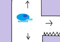 567568.png