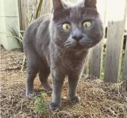 2023-08-30 15 46 54.jpg