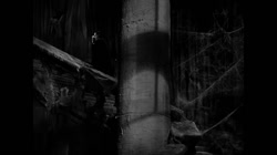 VAMPIR - DRAKULA.mp4