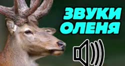 copy33BF6086-5B22-4884-AE54-7A2A013BA5AE.mov