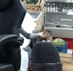 16974653952380.mp4