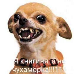 1699267904331.jpg