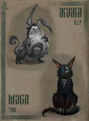 juja-musya.jpg