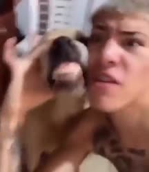 16808456010710.mp4