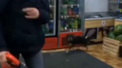1699363702932.mp4
