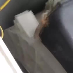 тряска.webm
