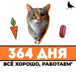 364.jpg