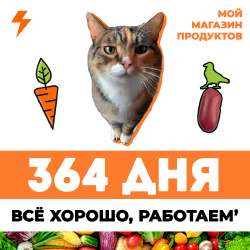 3649.jpg