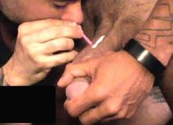 produtora-choca-ator-cheirando-cocaina-penis.jpg