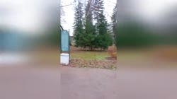 out.mp4