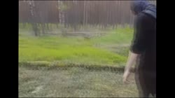 16997926345800.webm