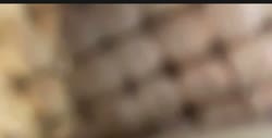16737246361890.mov
