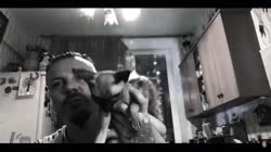 16736999253530.mp4