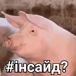 17032596096940.mp4