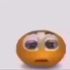holy moly.mp4