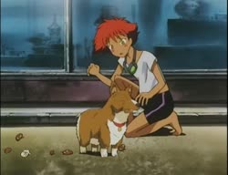 16629010119100.webm