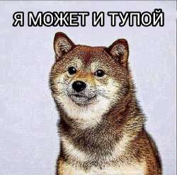 IMG20240118013312210.jpg