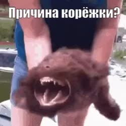VID20240208192144317.mp4