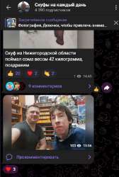 скуфы рроро.png