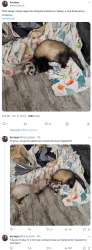 изображение.png
