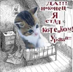 IMG20240212152726212.jpg