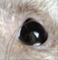 17016264321932.png