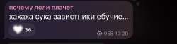 IMG2386.jpeg