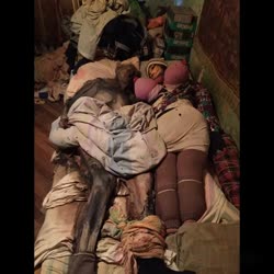 tolchmans future.mp4